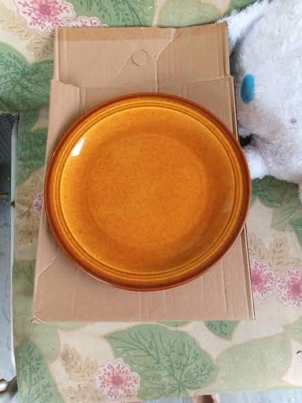 Photo of free 5 dinner plates (Mt Rainier MD) #1