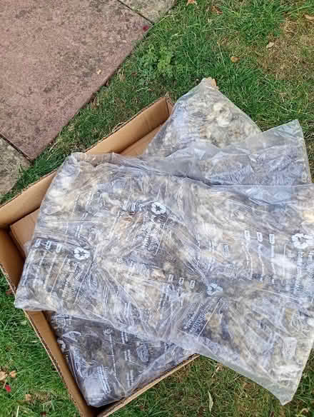 Photo of free Frozen food insulation (Temple Cowley OX4) #1