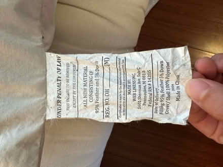 Photo of free Feather body pillow (Near Culver City) #3