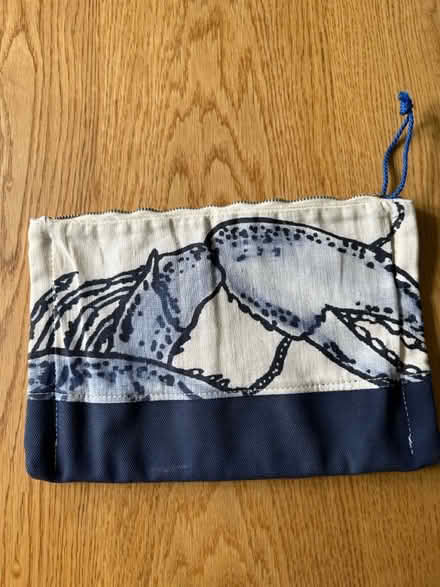 Photo of free Clutch (Little Silver) #1