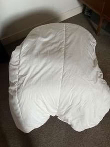 Photo of free double duvet (Westerhope) #1
