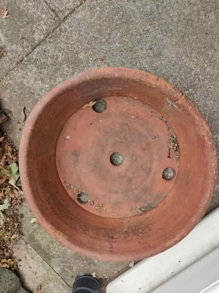 Photo of free Large Terracotta pot - shallow (Horsforth LS18) #2