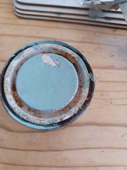 Photo of free Paint Sampler Dulux Jewelled Creek 3 (Speedwell BS5) #3