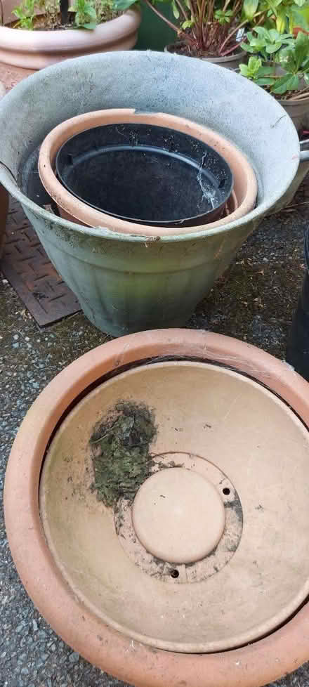 Photo of free Lots of large garden pots (Heswall CH60 7SB) #3