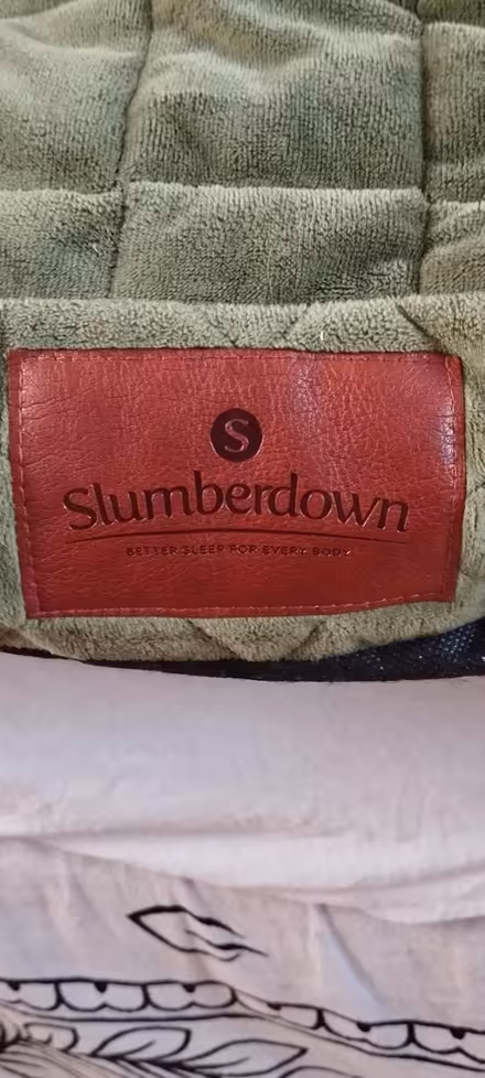 Photo of free Clean Dog/Pet Bed (Guildford GU1) #2