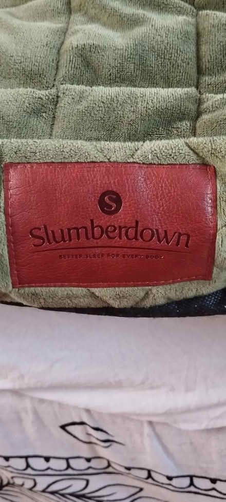 Photo of free Clean Dog/Pet Bed (Guildford GU1) #2