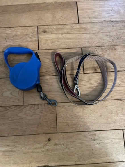 Photo of free dog things (Round Green LU2) #2