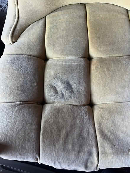 Photo of free Velvet Vintage Chairs (San Rafael) #4