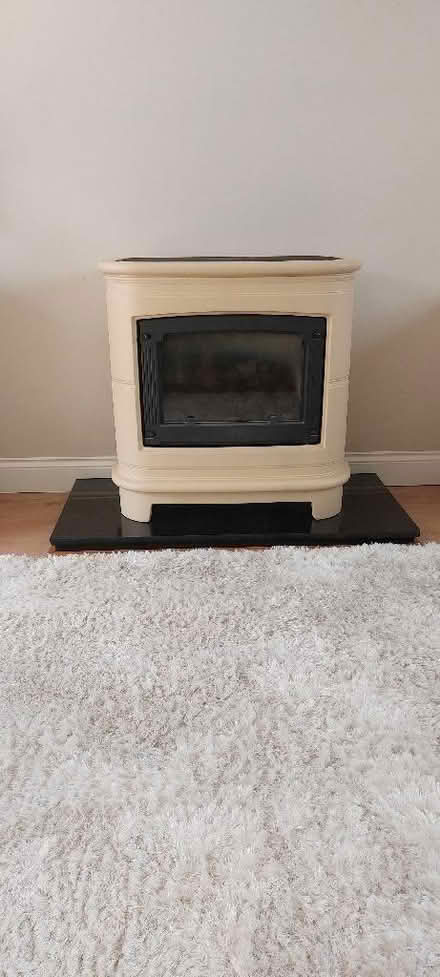Photo of free Gas fire (Great Totham CM9) #1