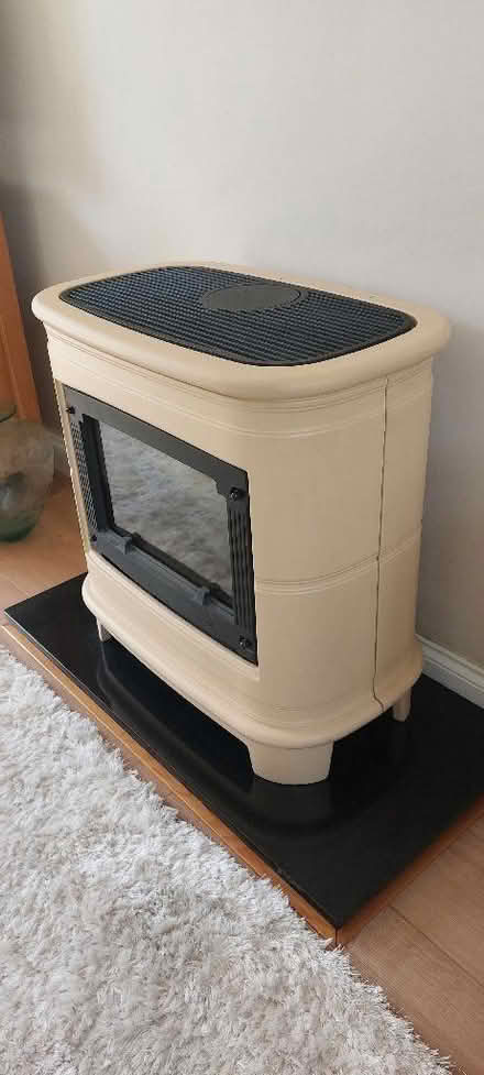 Photo of free Gas fire (Great Totham CM9) #3