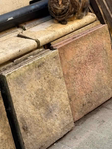 Photo of free Landscaping slabs (Clive Vale. Hastings) #1