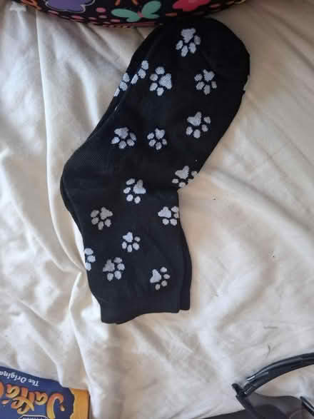 Photo of free Brand new pairs of socks (Seaside BN22) #1