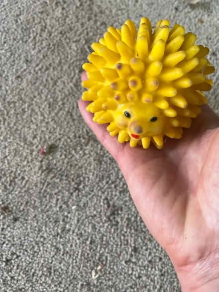 Photo of free Yellow Squeezy Hedgehog Dog Toy? (IG6) #3