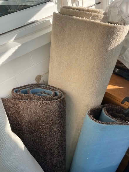Photo of free Carpet Offcuts (Sheriffs Hill NE9) #1