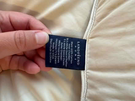 Photo of free 2 Feather land’sEnd pillows (Near Culver City) #3