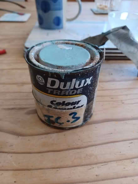 Photo of free Paint Sampler Dulux Jewelled Creek 3 (Speedwell BS5) #2