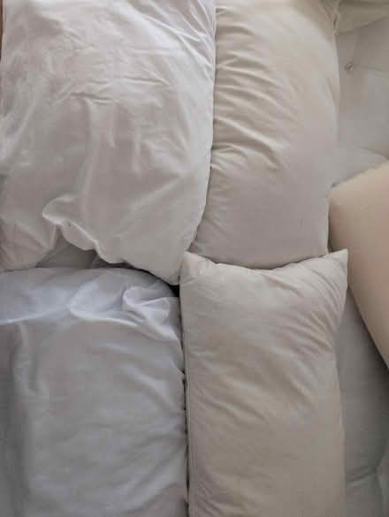 Photo of free Pillows (NW11 Temple Fortune) #1