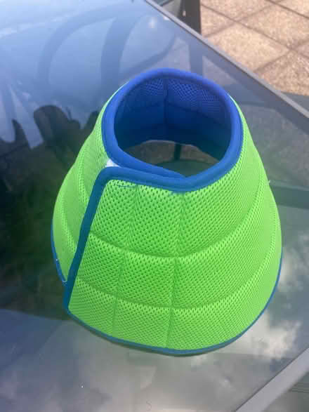 Photo of free Surgical dog collar (Cheshunt EN7) #2