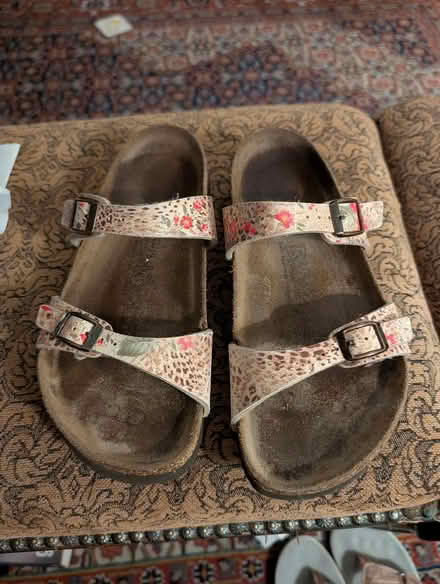 Photo of free Birkies (Lakeview, close to Bayshore) #1