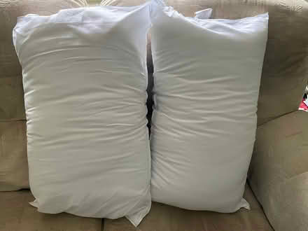 Photo of free New Soft Touch Pillows (Hertford SG14) #2