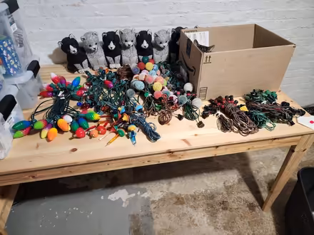 Photo of free Christmas lights (Hillcrest SE DC) #3
