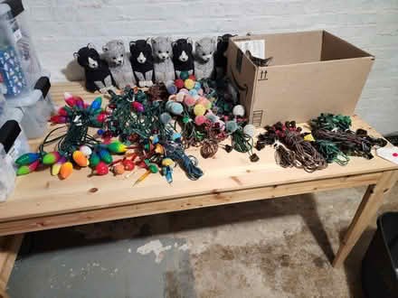 Photo of free Christmas lights (Hillcrest SE DC) #3
