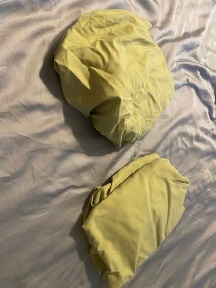 Photo of free Sage Green Twin Fitted Sheets (Adelphi/Hyattsville) #2