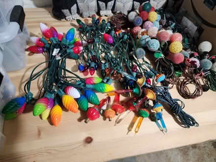 Photo of free Christmas lights (Hillcrest SE DC) #2