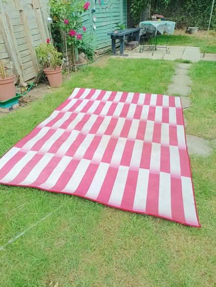 Photo of free Reg and White Rug (RG2 south Reading) #2