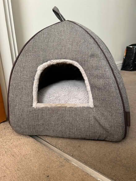 Photo of free Cat ‘wigwam’ (Hanwell W7) #1