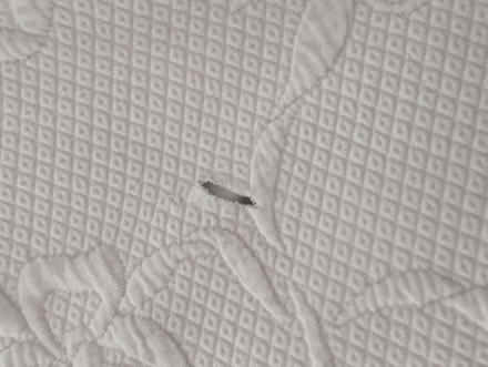 Photo of free Bedspread/sofa throw (NW11 Temple Fortune) #3
