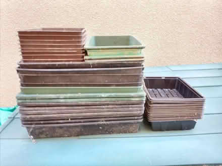 Photo of free Seed trays (Wrington BS40) #1