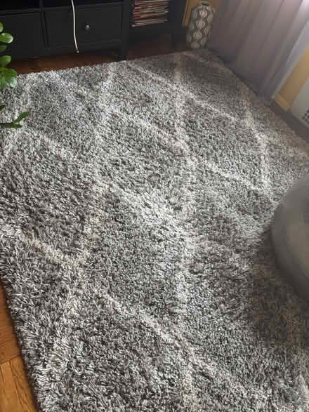 Photo of free Rug 6x9 (Rego Park) #1