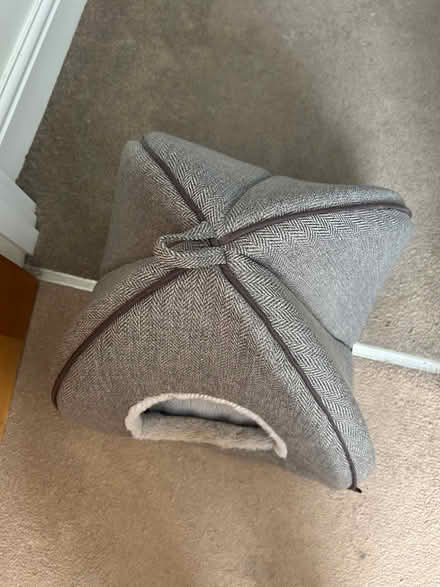 Photo of free Cat ‘wigwam’ (Hanwell W7) #2