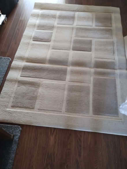 Photo of free Rugs (Edginswell TQ2) #1