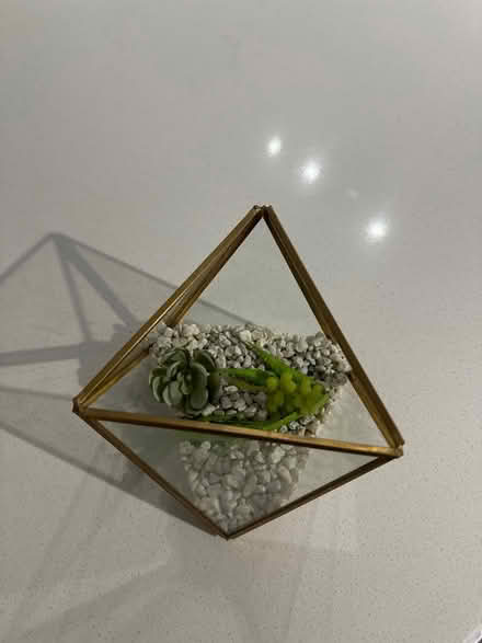 Photo of free Geometric Terrarium Home Decor (Mount Vernon) #1