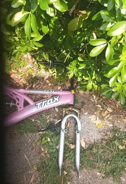 Photo of free Trax bike frame and parts (Bedmond WD5) #1