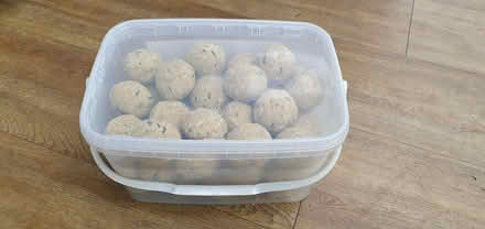 Photo of Plastic containers (Sharpthorne RH19) #1