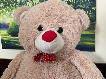 Photo of free XL Teddy Bear (Upper westside) #2