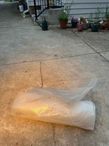 Photo of free Bubble wrap (SE AA) #1