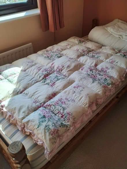 Photo of free Eiderdown (Edginswell TQ2) #1