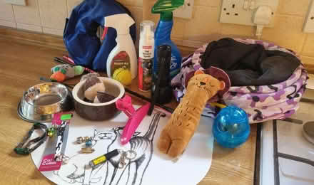 Photo of free Cat paraphernalia (Prenton CH43) #1