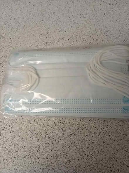 Photo of free Masks (Meadowvale and 401 area) #1