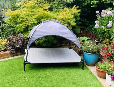 Photo of free Dog Sun Bed (Ashton Green BN8) #1