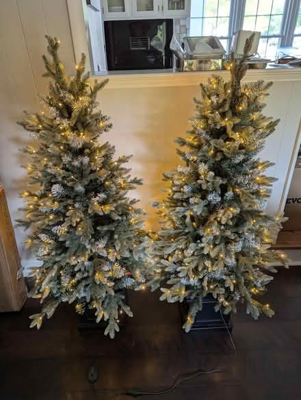 Photo of free Pair of Lighted 4' Trees (11 Mile and Middlebelt Area) #1