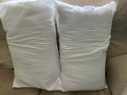 Photo of free New Soft Touch Pillows (Hertford SG14) #3