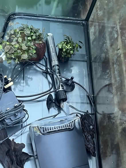 Photo of free fish tanks 60 ltr (Slade Green DA8) #3