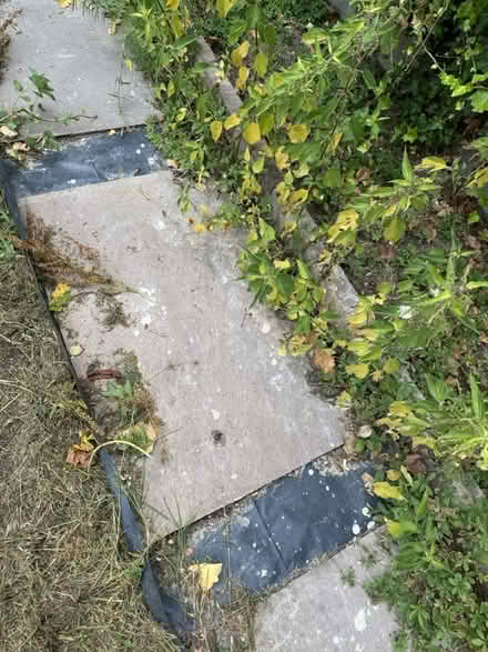 Photo of free 21 Indian Sanstone Flagstones (Finchley N3) #2