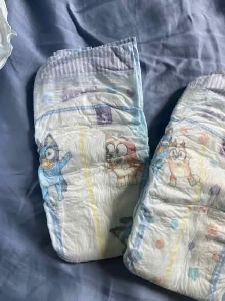 Photo of free Size 5 Diapers (Adelphi/Hyattsville) #1