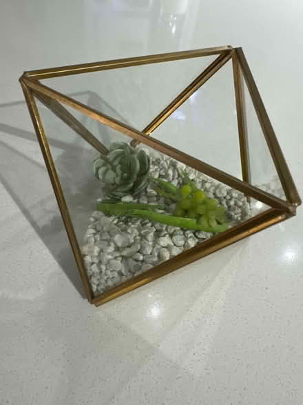 Photo of free Geometric Terrarium Home Decor (Mount Vernon) #2